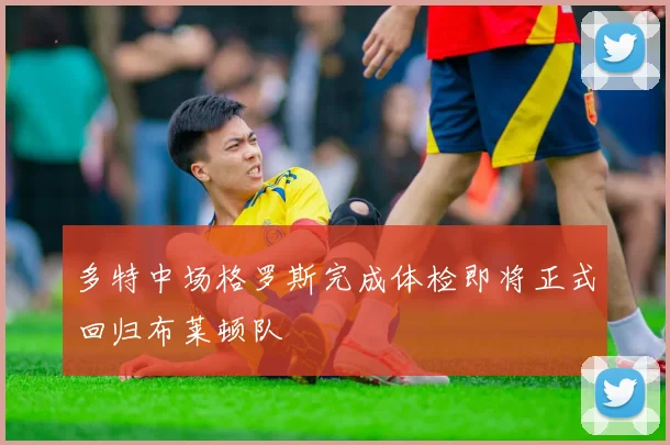 多特中场格罗斯完成体检即将正式回归布莱顿队