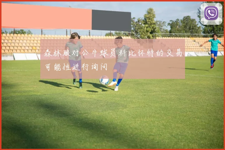 森林狼对公牛球员科比怀特的交易可能性进行询问